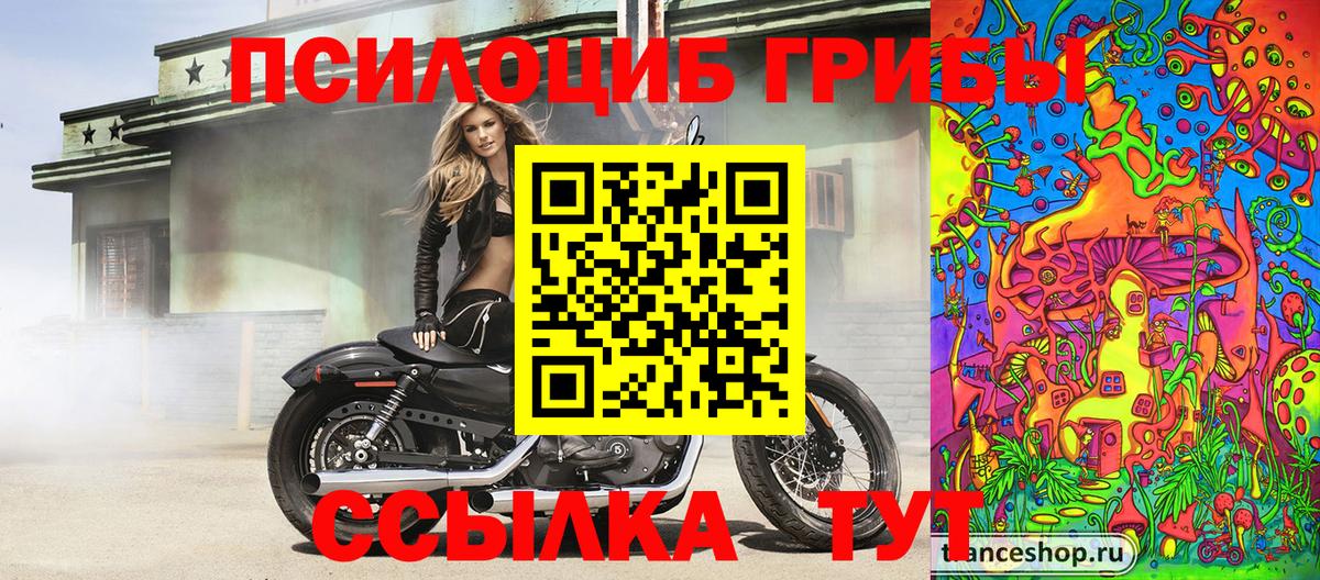 Галлюциногенные грибы мицелий Боровичи